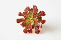 私の写真を返せ〜