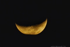 月舟ワンダーランド行き…