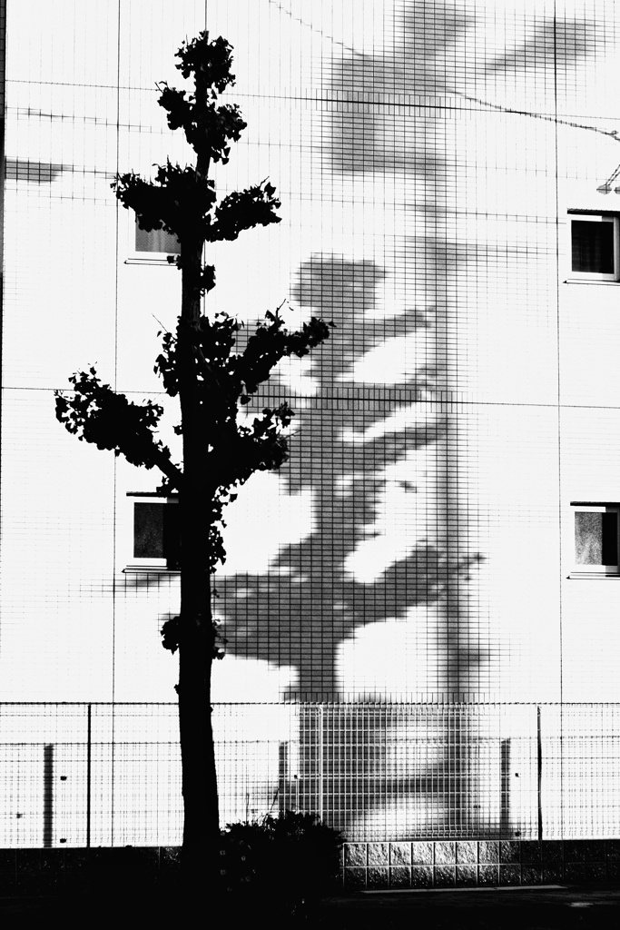 8ビットキャラ…