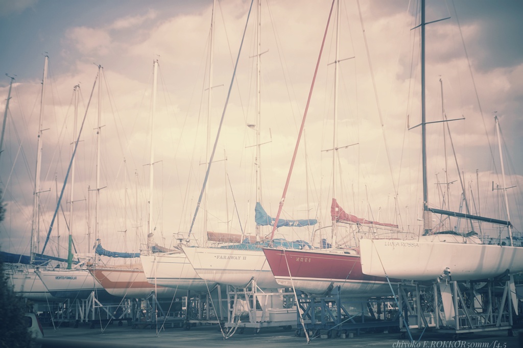 陸に眠る航海…