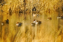 気づかれない幸せ…