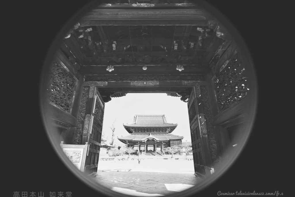 向こう側を覗いてみた…