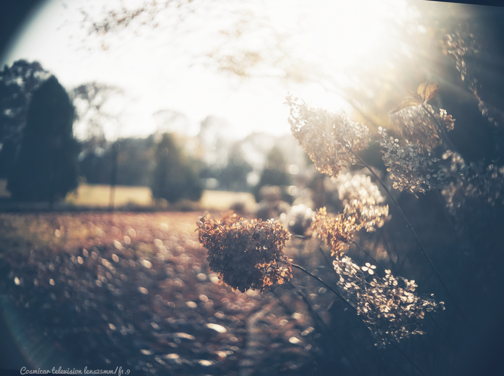 慈愛の心とありがとう…