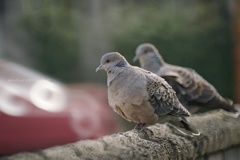 距離、あと少し…