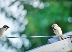 仲良くしましょう！