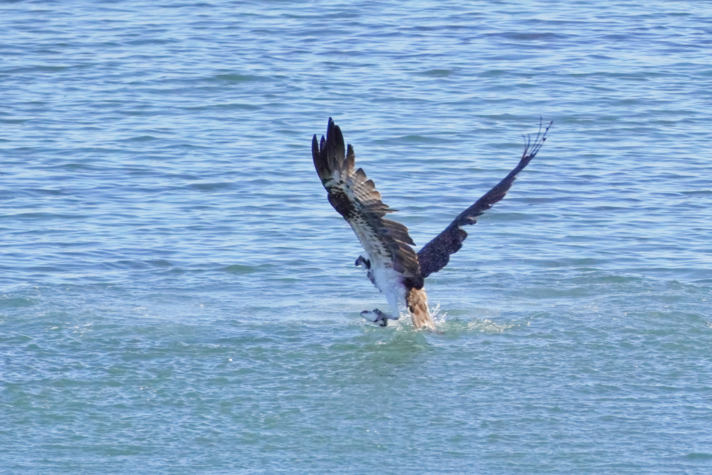 スプラッシュアフタ〜…