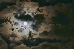 Wolf moon…