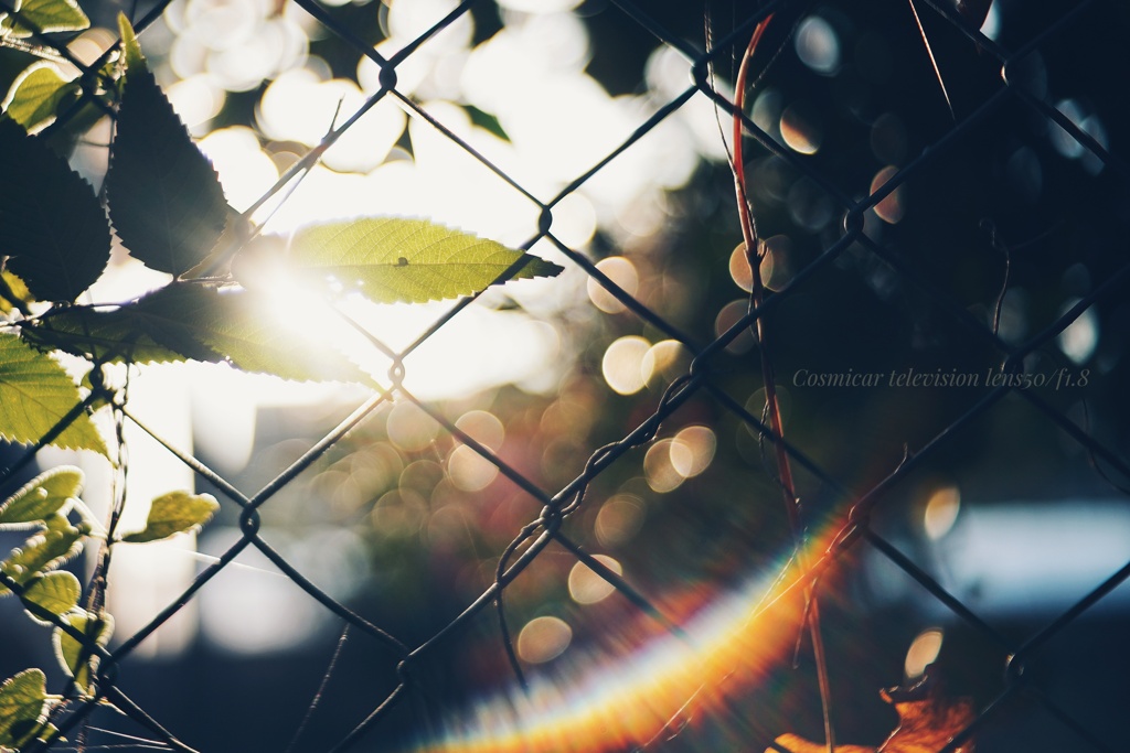 レインボーカッター…えい！…危な…