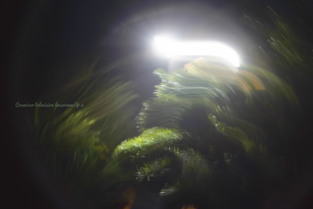 Unearthly and bizarre things…