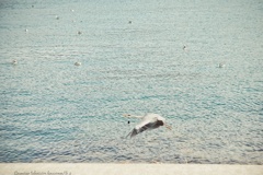 あれだけ探した…