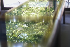 テーブル越しの夏…