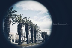 今日は身体検査の日…