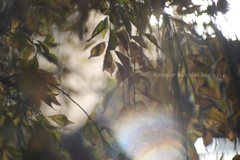 スポットライトを浴びる貴方…