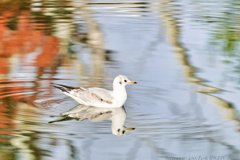 きっと貴方の心は泣いている…