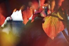 ジッと見つめられて…