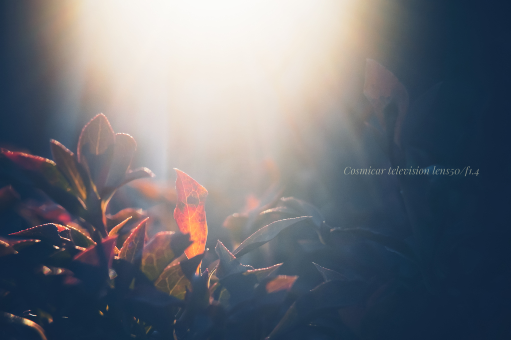 ここは舞台  貴方は主役…