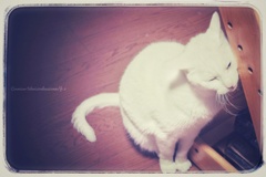 スリープモード移行中…