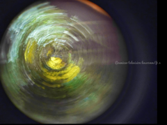 緑と黄色でビタミンAC ! !…