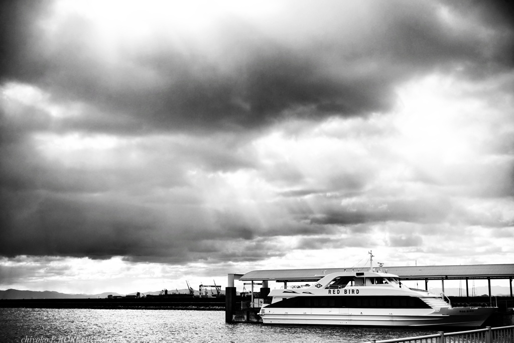 光はまだ港にある…