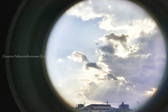 祝福は無言で届く…