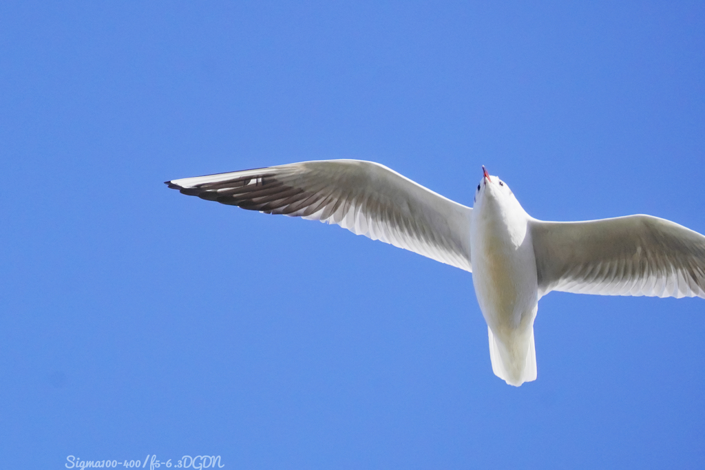 白粉おチョボ口な…
