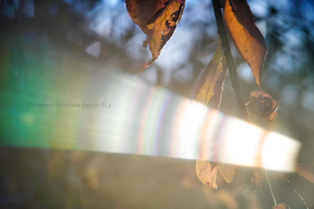 サン・ビーム！