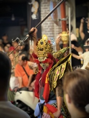 家將