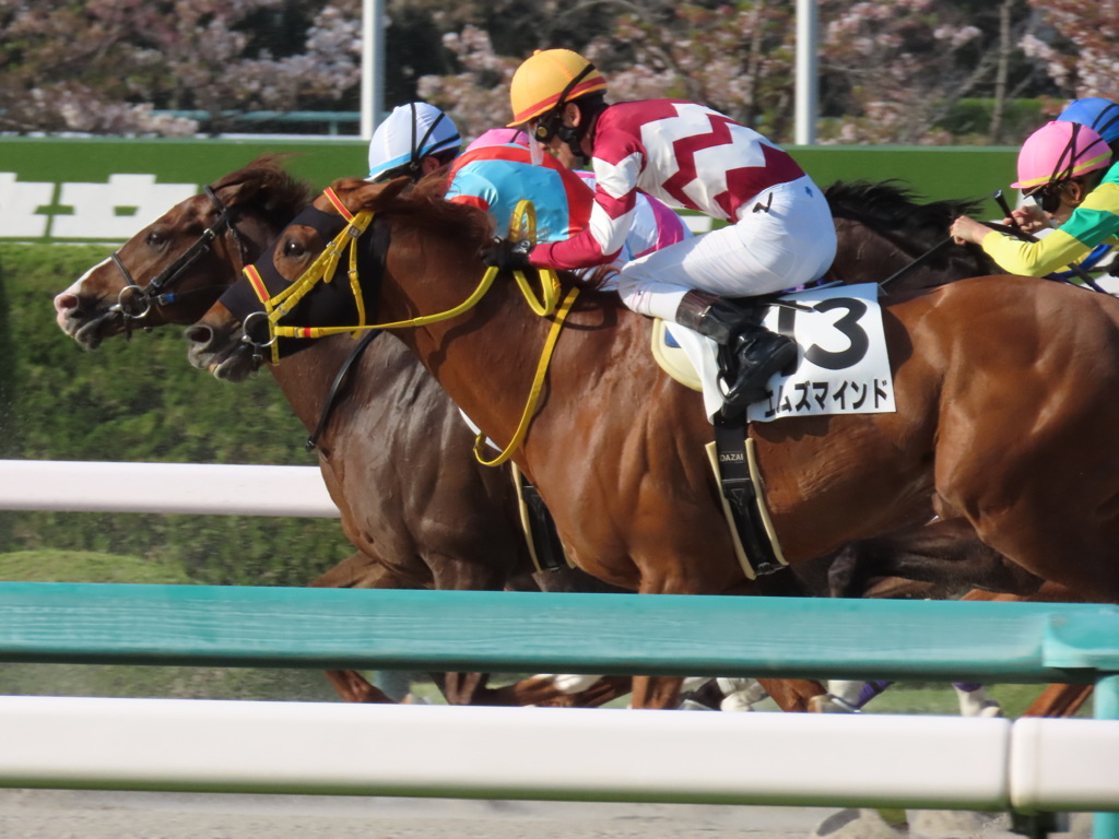 阪神競馬