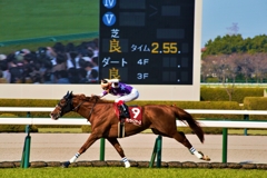 6馬身を離して。