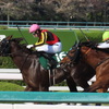 阪神競馬