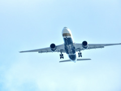 飛行機も飛んでいる