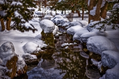 春待の庭
