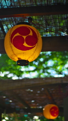 灯