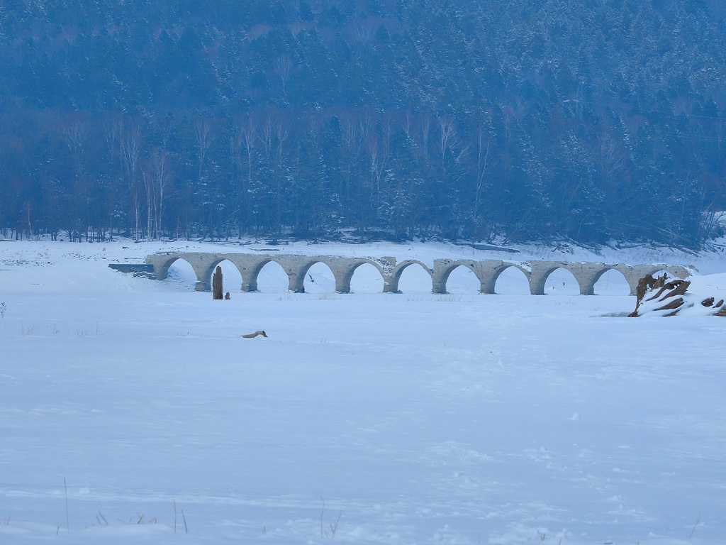 タウシュベツを望む