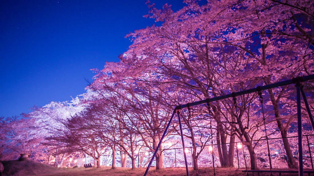 福島県伊達市紅谷峠の桜
