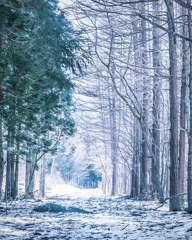 達沢不動滝　林道