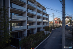 冬の日陰