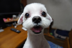 サッパリ