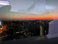朝陽