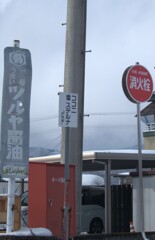 お散歩
