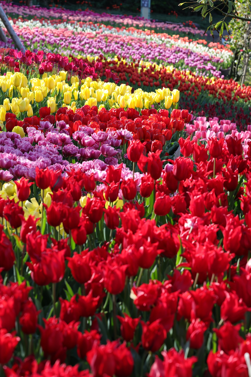 ここはもう春２