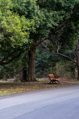 都市公園