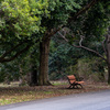 都市公園