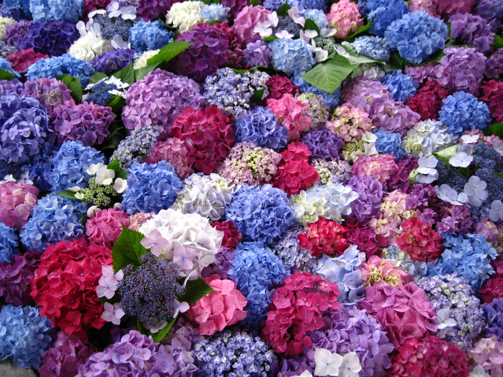 花手水