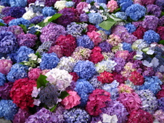 花手水