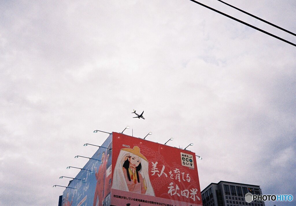 どこにいくのか