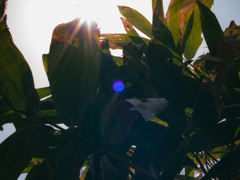 DSC00970-2
