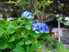 DSC01596