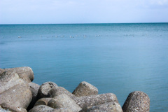IMG_6389-2