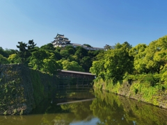 虎伏山